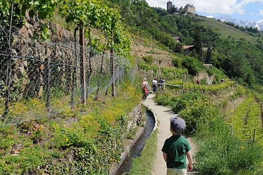 Der Algunder Waal ist ein sehr beliebter Wanderweg.