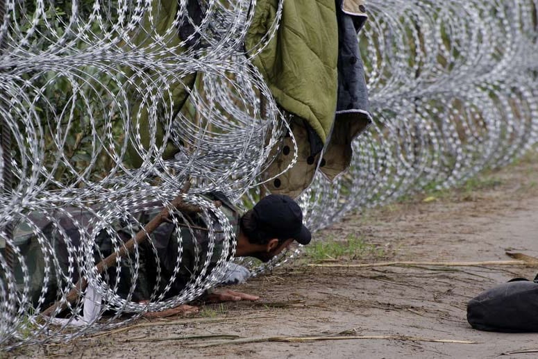 Verzweifelt versuchen Flüchtlinge über die Grenze von Serbien nach Ungarn zu gelangen. Der gefährliche Stacheldrahtzaun hält viele Menschen nicht ab.