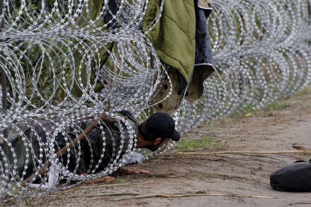 Verzweifelt versuchen Flüchtlinge über die Grenze von Serbien nach Ungarn zu gelangen. Der gefährliche Stacheldrahtzaun hält viele Menschen nicht ab.