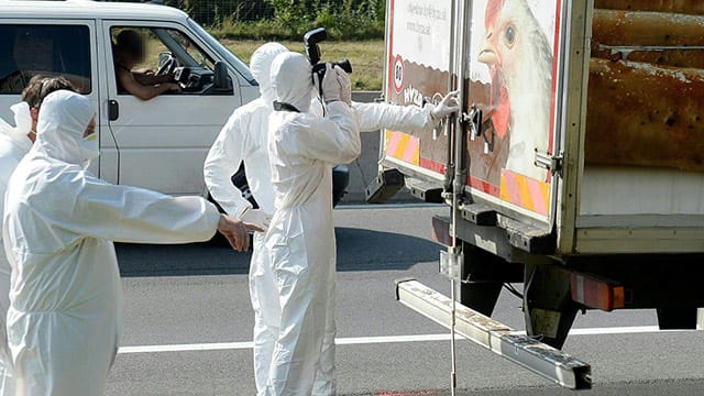 Forensiker untersuchen den Lkw, in dem die die Leichen von bis zu 50 Flüchtlingen entdeckt wurden.