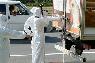 Forensiker untersuchen den Lkw, in dem die die Leichen von bis zu 50 Flüchtlingen entdeckt wurden.