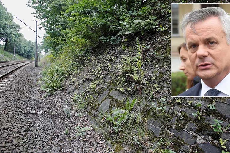 Der polnische Denkmalkonservator, Piotr Zuchowski, hält die Existenz des Nazi-Zugs für erwiesen.