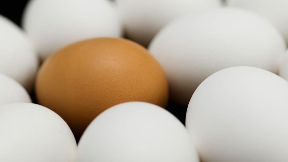Wo ein Ei ist, ist das Eiweiß nicht weit. Ein Hühnerei enthält etwa acht Gramm davon. Daher sind sie zum Muskelaufbau sehr nützlich.