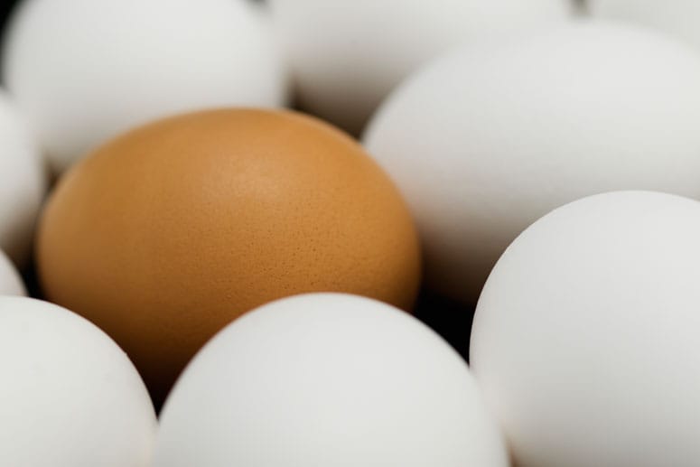 Wo ein Ei ist, ist das Eiweiß nicht weit. Ein Hühnerei enthält etwa acht Gramm davon. Daher sind sie zum Muskelaufbau sehr nützlich.