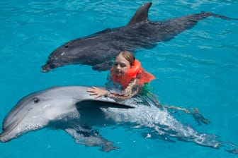 Die Delfintherapie bereitet vor allem Kindern Freude – aber den Delfinen auch?