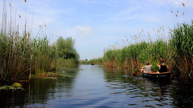 Wer das Delta bereist, ist mitten in der Natur.