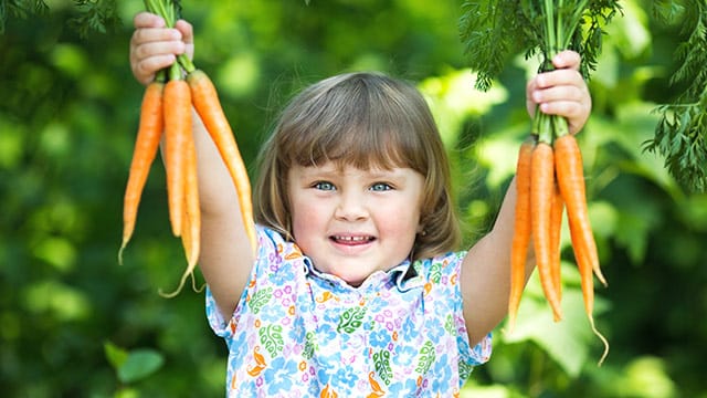 Giftige Pflanzen im Garten müssen nicht sein - Kinder lieben es, wenn sie im Nutzgarten selbst säen und ernten dürfen.