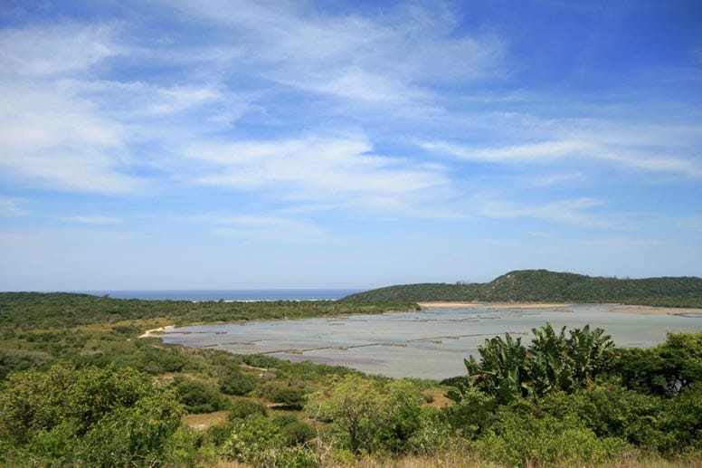 Die andere Perle ist Kosi Bay. Hier ist die Heimat von Flusspferden, Krokodilen und Sambezi-Haien.