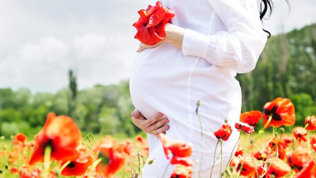 Frauen sollten während der Schwangerschaft nur wenig Mohn zu sich nehmen.