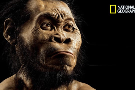 Der Palaeontologe John Gurch hat eine Rekonstruktion des Homo naledis angefertigt - so könnte die neue Menschenart ausgesehen haben.