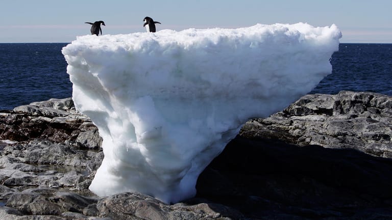 Pinguine müssen sich umstellen: Wenn alle fossilen Brennstoffe verheizt sind und die Temperaturen weiter ansteigen, droht das Eis der Antarktis komplett abzuschmelzen.