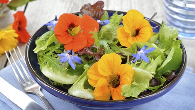 Kapuzinerkresse macht Salate besonders schmackhaft.