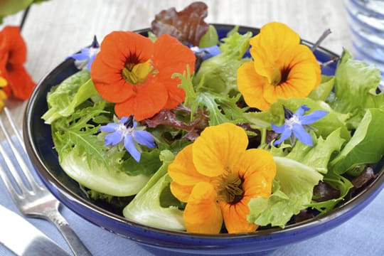 Kapuzinerkresse macht Salate besonders schmackhaft.