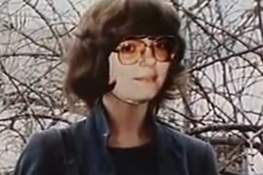 Mit dieser Fotomontage suchte "Aktenzeichen XY" 1985 nach der verschwundenen Petra P.