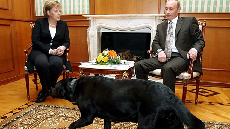 Putin feixt, der Hund wirkt entspannt, Merkel weniger.
