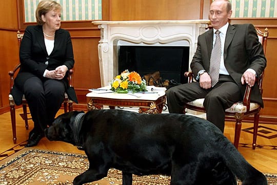 Putin feixt, der Hund wirkt entspannt, Merkel weniger.