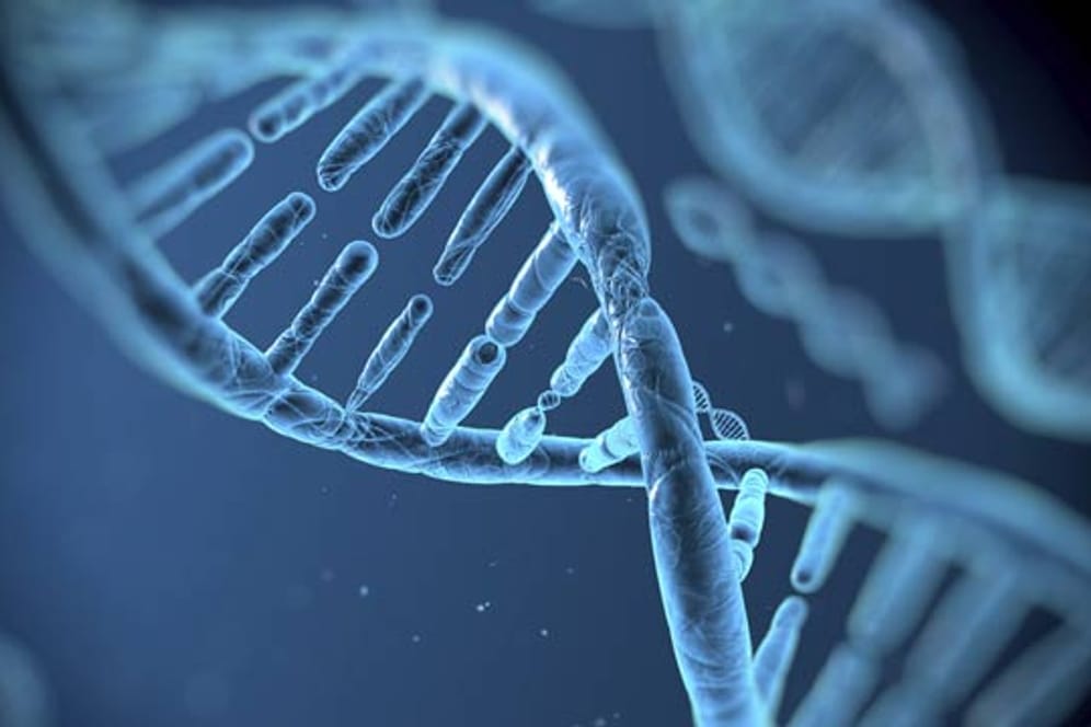 Eine DNA-Doppelhelix: Zellen können beschädigtes Erbgut reparieren.