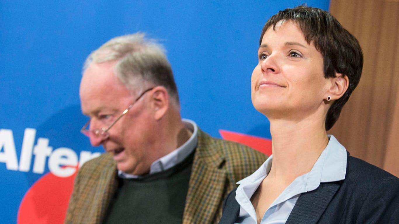 Fühlen sich wieder ganz obenauf: AfD-Chefs Frauke Petry und Alexander Gauland.