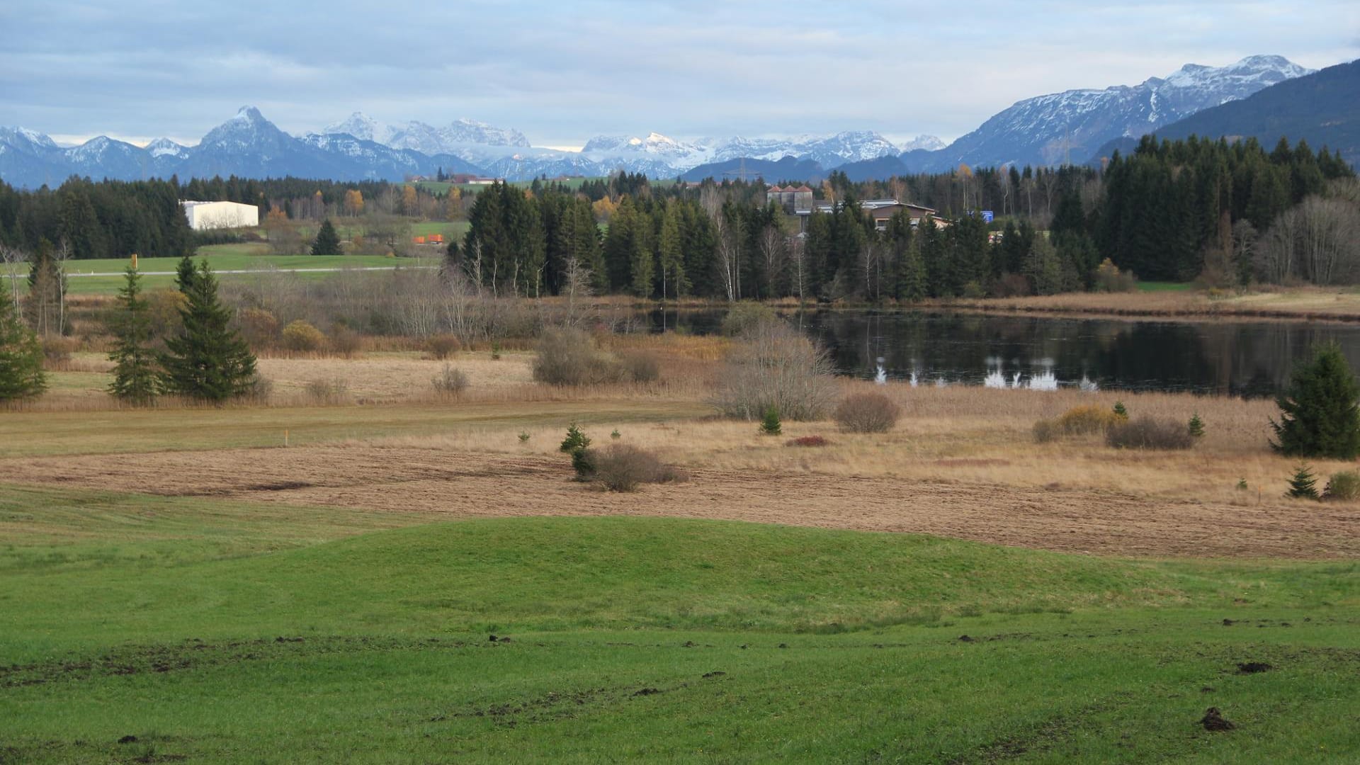 Unvergleichlicher Lebensraum: Auf Moortour im Allgäu