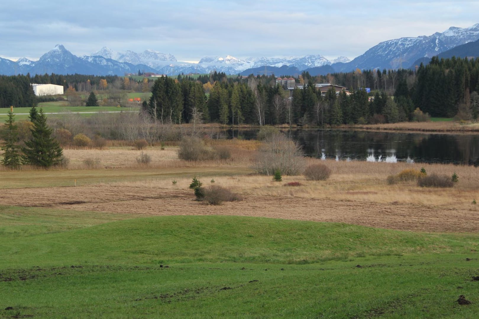 Unvergleichlicher Lebensraum: Auf Moortour im Allgäu