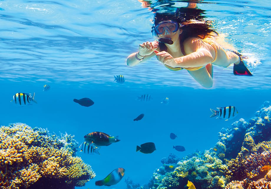 El Gouna - Tauchen Sie ein in die aufregende Unterwasserwelt.