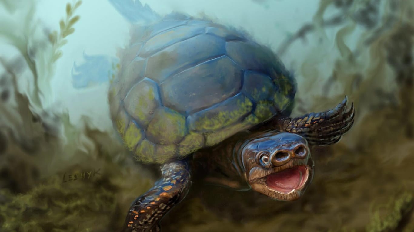 Extinct Pig-Snouted Turtle