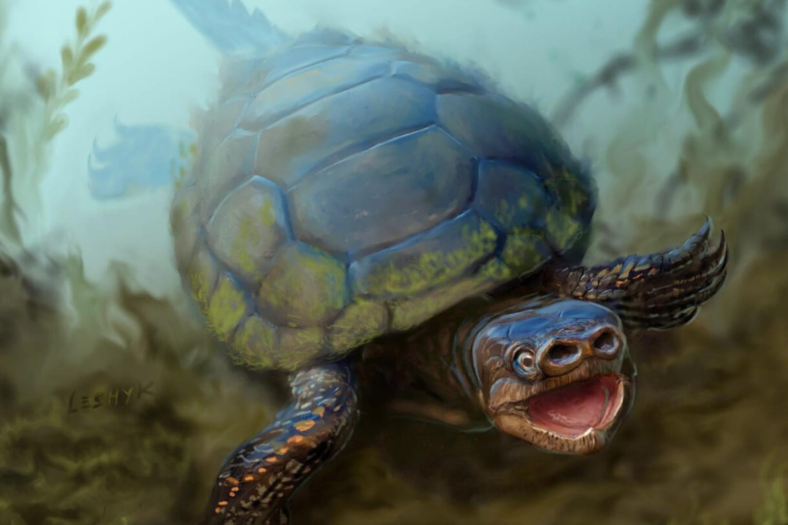 Extinct Pig-Snouted Turtle