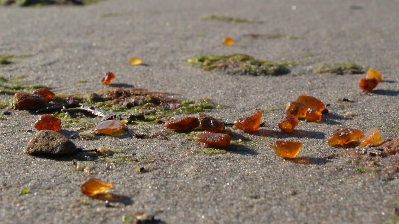 Steinesammler am Strand müssen aufpassen - Bernstein sieht dem hochentzündlichen Phosphor täuschend ähnlich.