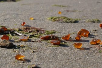 Steinesammler am Strand müssen aufpassen - Bernstein sieht dem hochentzündlichen Phosphor täuschend ähnlich.