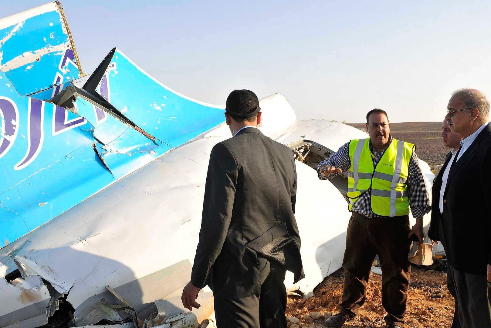 Das Wrack des abgestürzten Airbus.