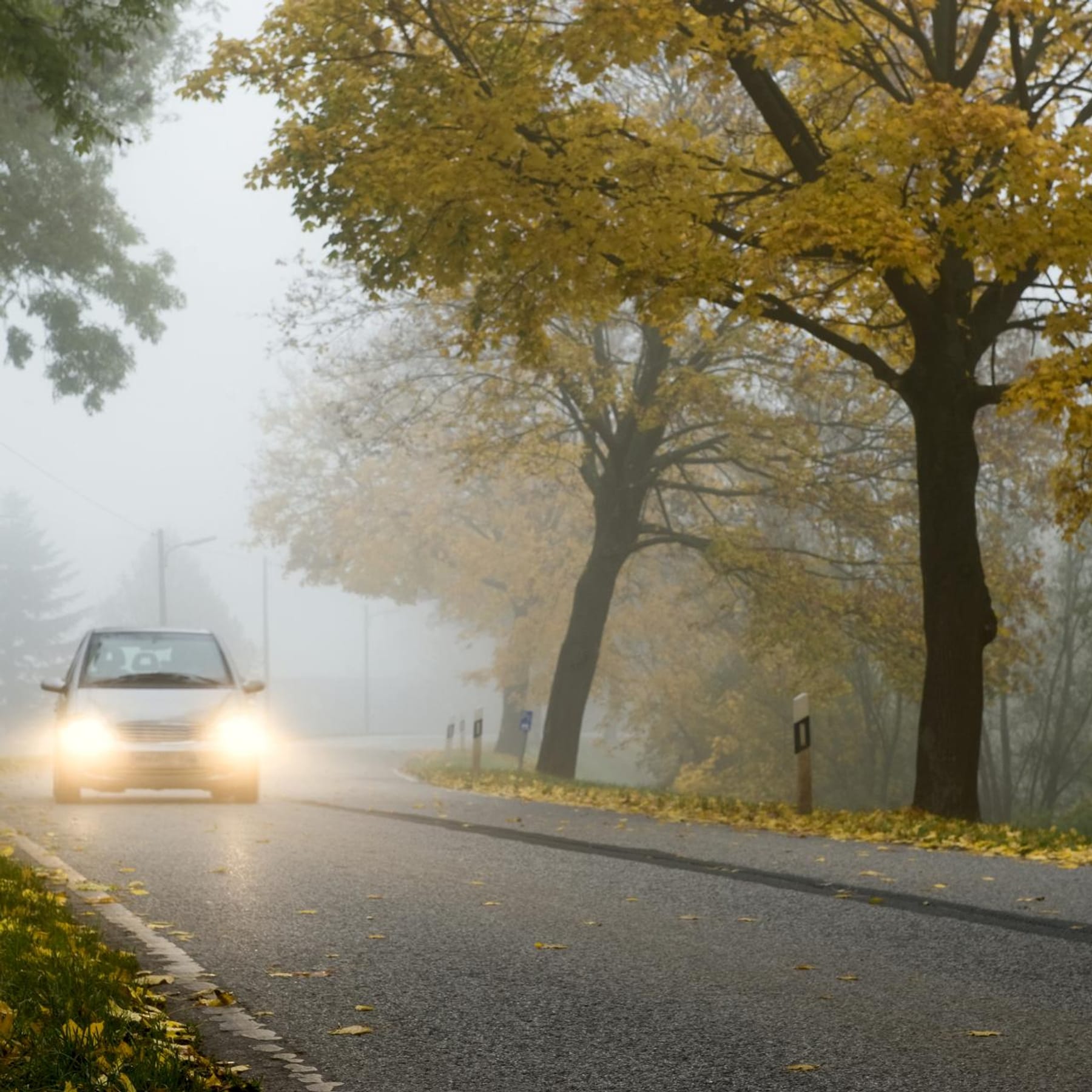 Welches Licht bei Nebel? - Fakten für Autofahrer