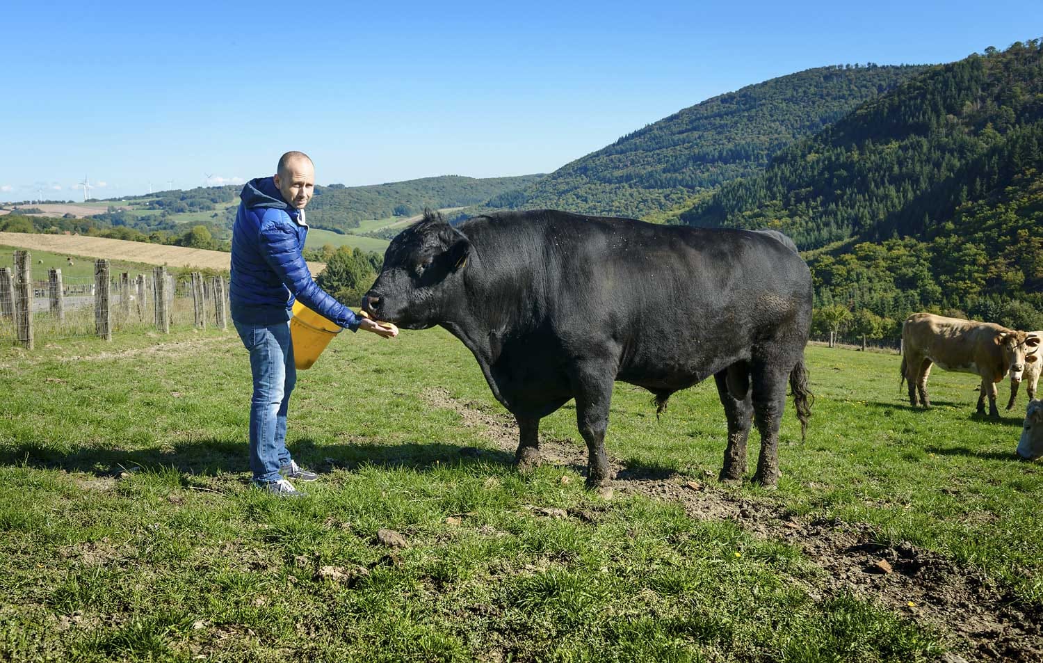 "Mir persönlich schmeckt alles vom Angus Rind am besten", erzählt Metzgermeister David, "Ochse oder Färse sollte es sein. Ich bevorzuge Gras gefütterte Rinder."