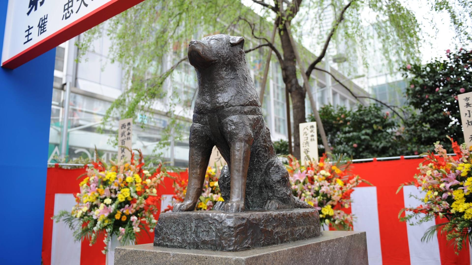 Am Bahnhof Shibuya in Tokio steht die Statue des treuen Hachikō.