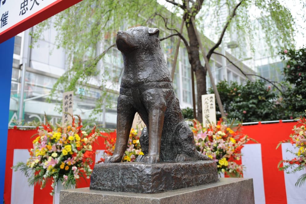 Am Bahnhof Shibuya in Tokio steht die Statue des treuen Hachikō.