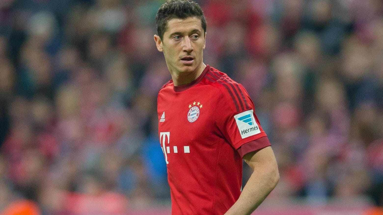 Stürmerstar Robert Lewandowski ist bei den Top-Klubs heiß begehrt.