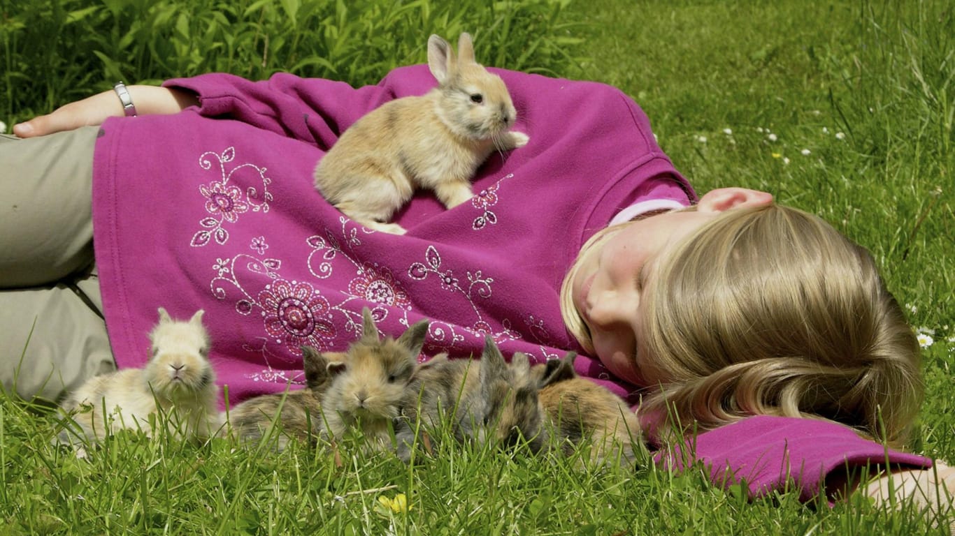 Damit sich Kaninchen wohlfühlen, benötigen sie viel Auslauf und Kontakt zu Artgenossen.