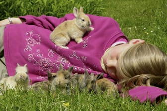 Damit sich Kaninchen wohlfühlen, benötigen sie viel Auslauf und Kontakt zu Artgenossen.