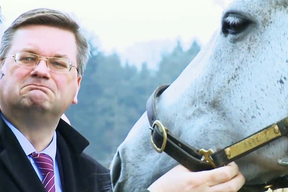 "Sturmfest und erdverwachsen": ein Youtube-Clip von Reinhard Grindel.