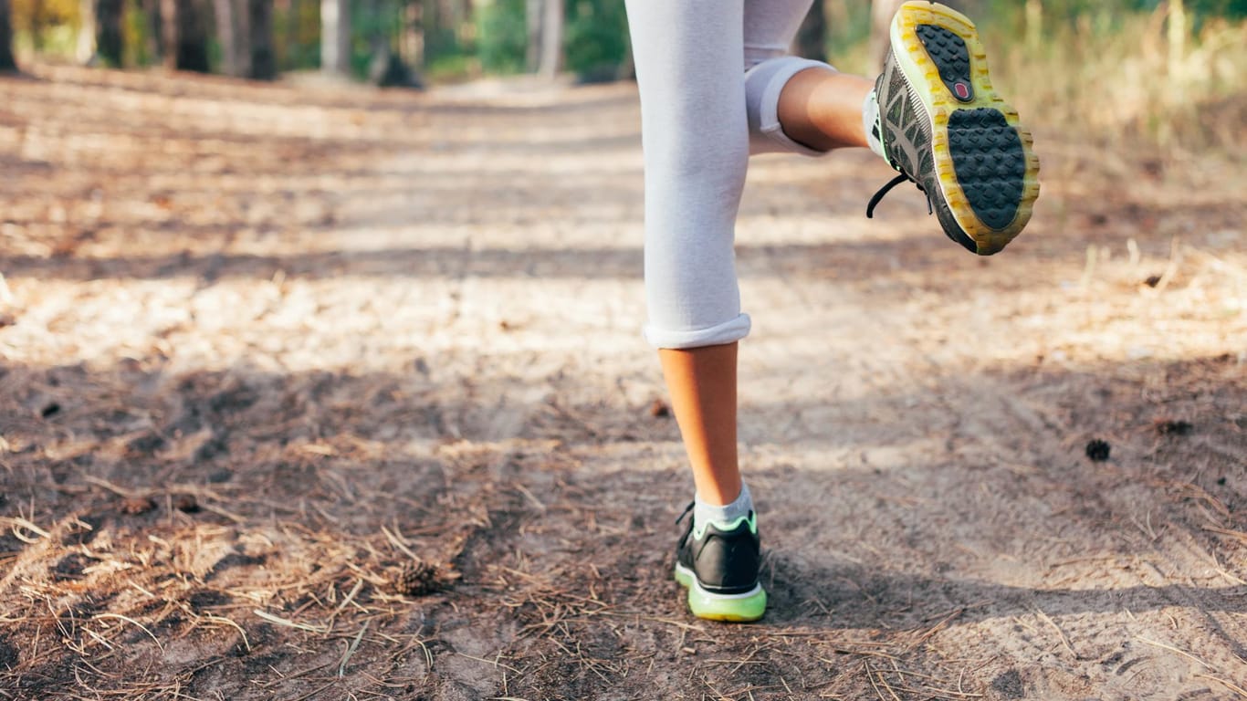 Das Laufen auf Waldboden ist besser für die Gelenke, glauben viele.