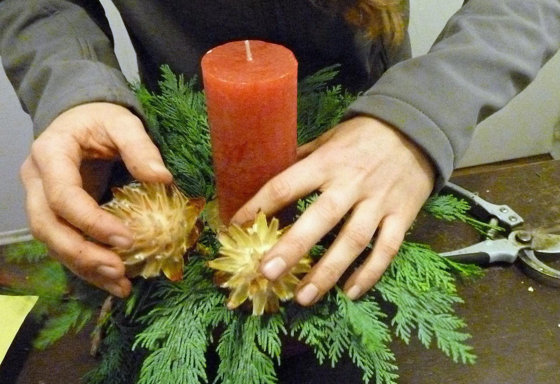 Leucospermum zurechtschneiden und zwischen Thuja und Kerze stecken, zwei abgeschnittene Stücke beiseitelegen.