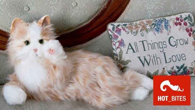 Hasbros Companion Pets: Die künstliche Schmusekatze zum Liebhaben.