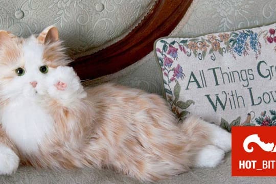 Hasbros Companion Pets: Die künstliche Schmusekatze zum Liebhaben.