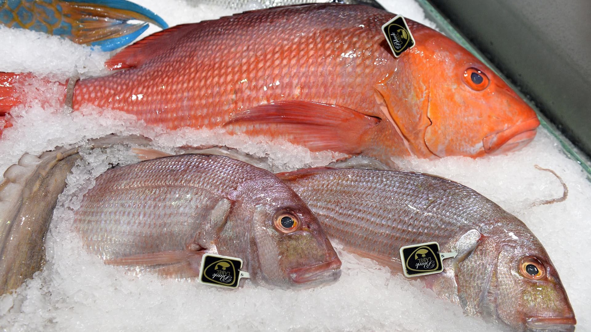 Ein Red Snapper (oben) und zwei Doraden Rose: Discounter mischen den Markt für Frischfisch auf.