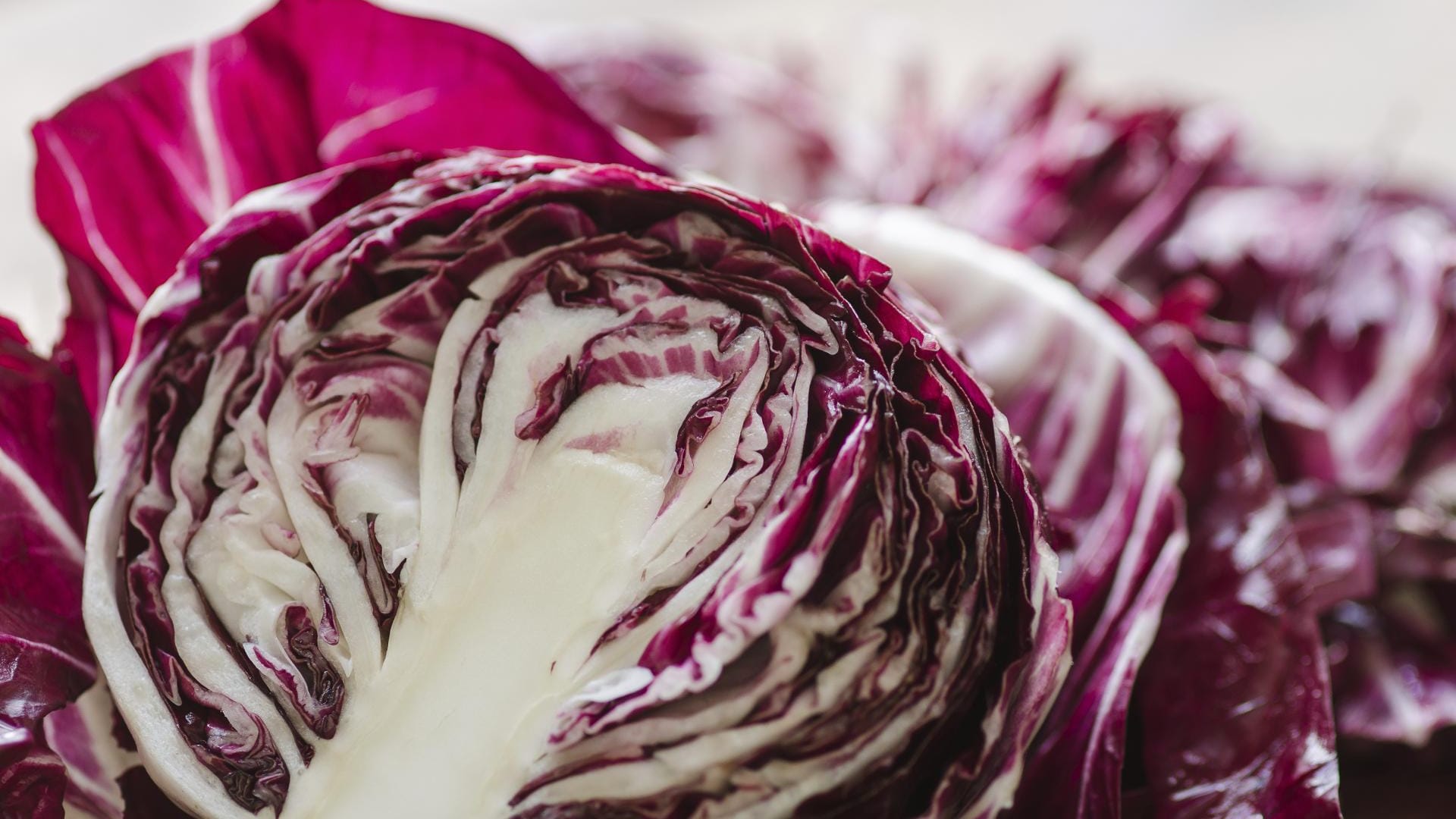 Das Wintergemüse Radicchio kommt gerne in der italienischen Küche zum Einsatz.