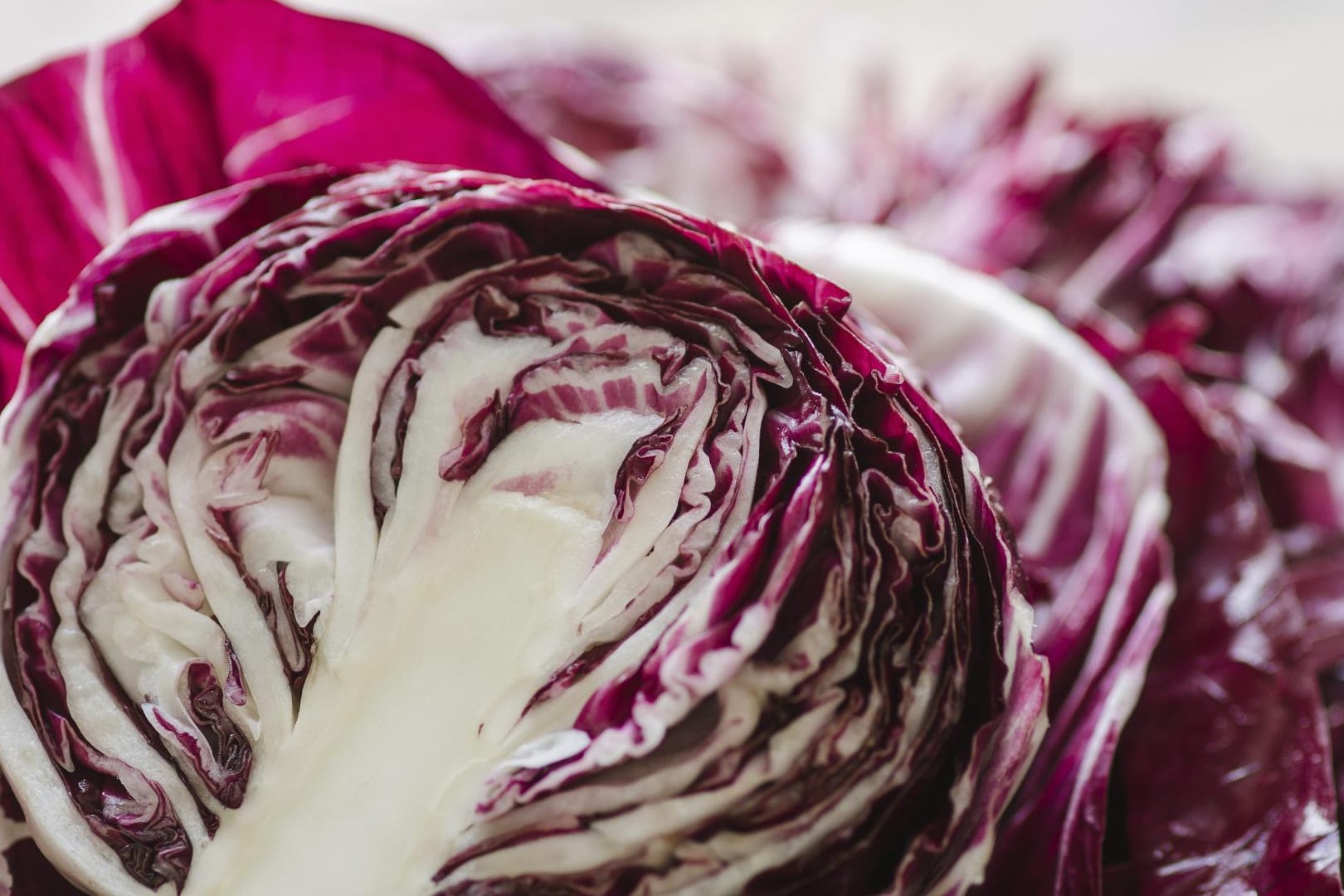 Das Wintergemüse Radicchio kommt gerne in der italienischen Küche zum Einsatz.