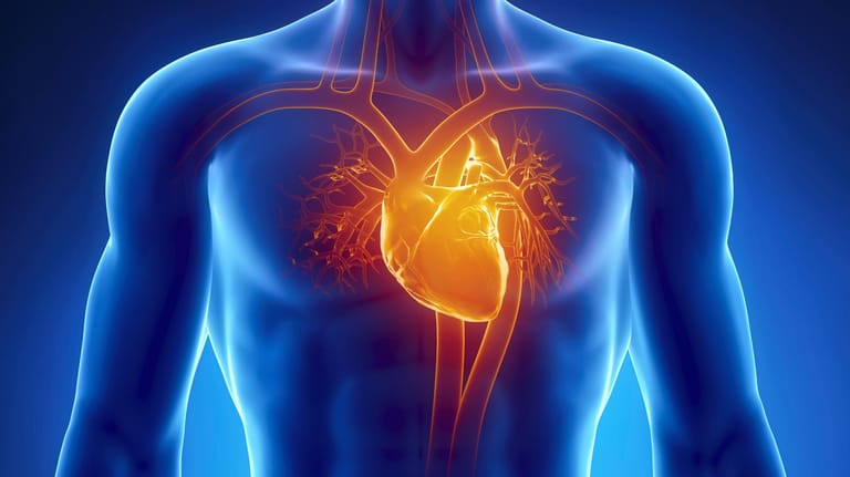 Herzerkrankungen sind auf dem Vormarsch, doch oft werden sie erst spät erkannt.