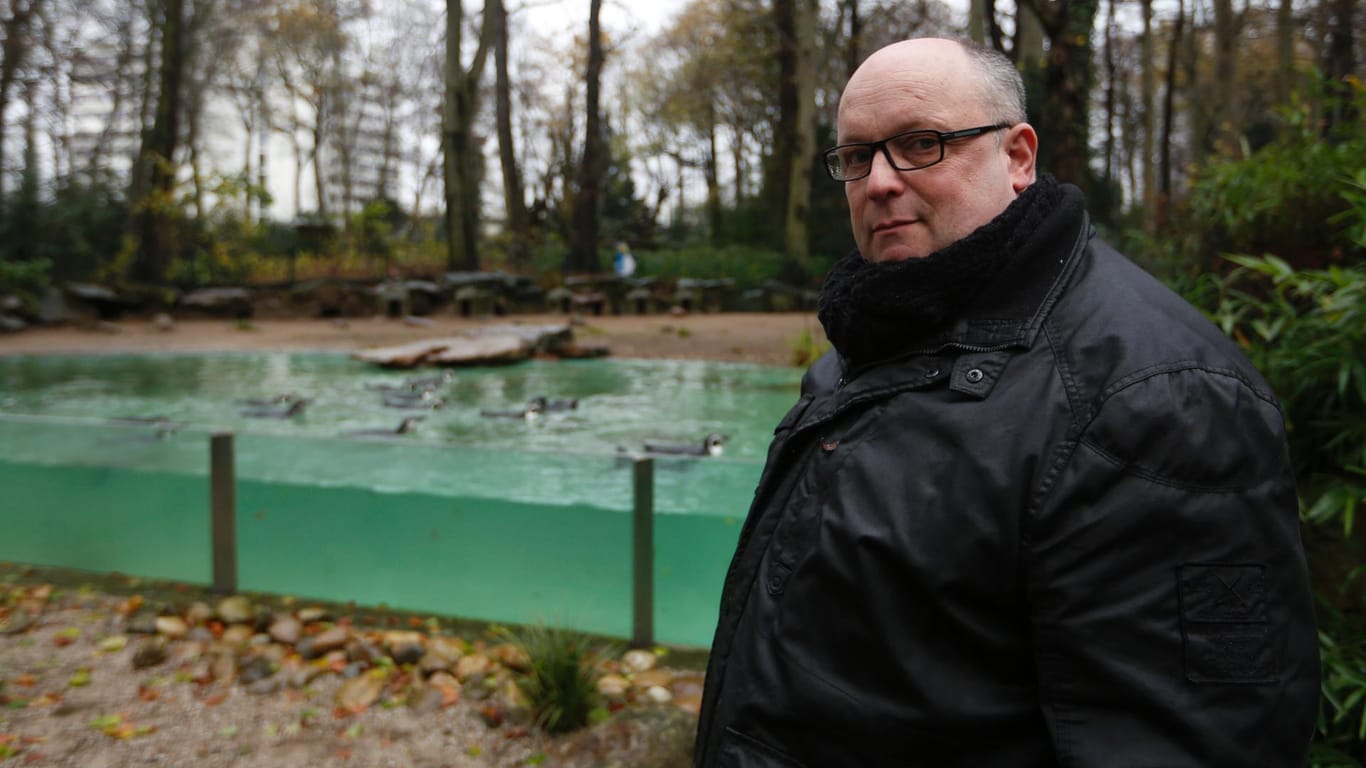 Zoo-Direktor Frank Brandstätter am Gehege der Humboldtpinguine: Eins der Tiere ist tot, zwei werden vermisst.