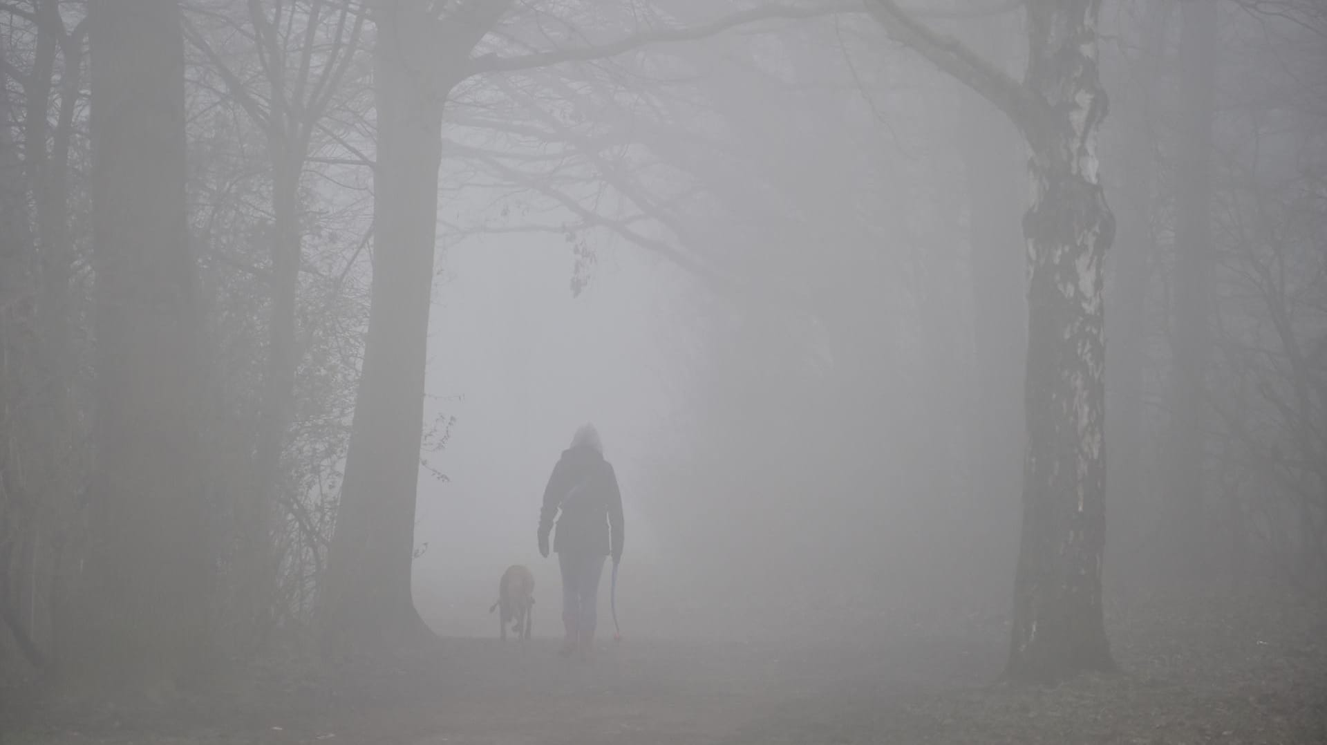 Spaziergang im Nebel: Die graue Zeit der Wintermonate schlägt vielen Menschen aufs Gemüt.