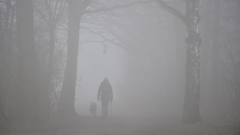 Spaziergang im Nebel: Die graue Zeit der Wintermonate schlägt vielen Menschen aufs Gemüt.