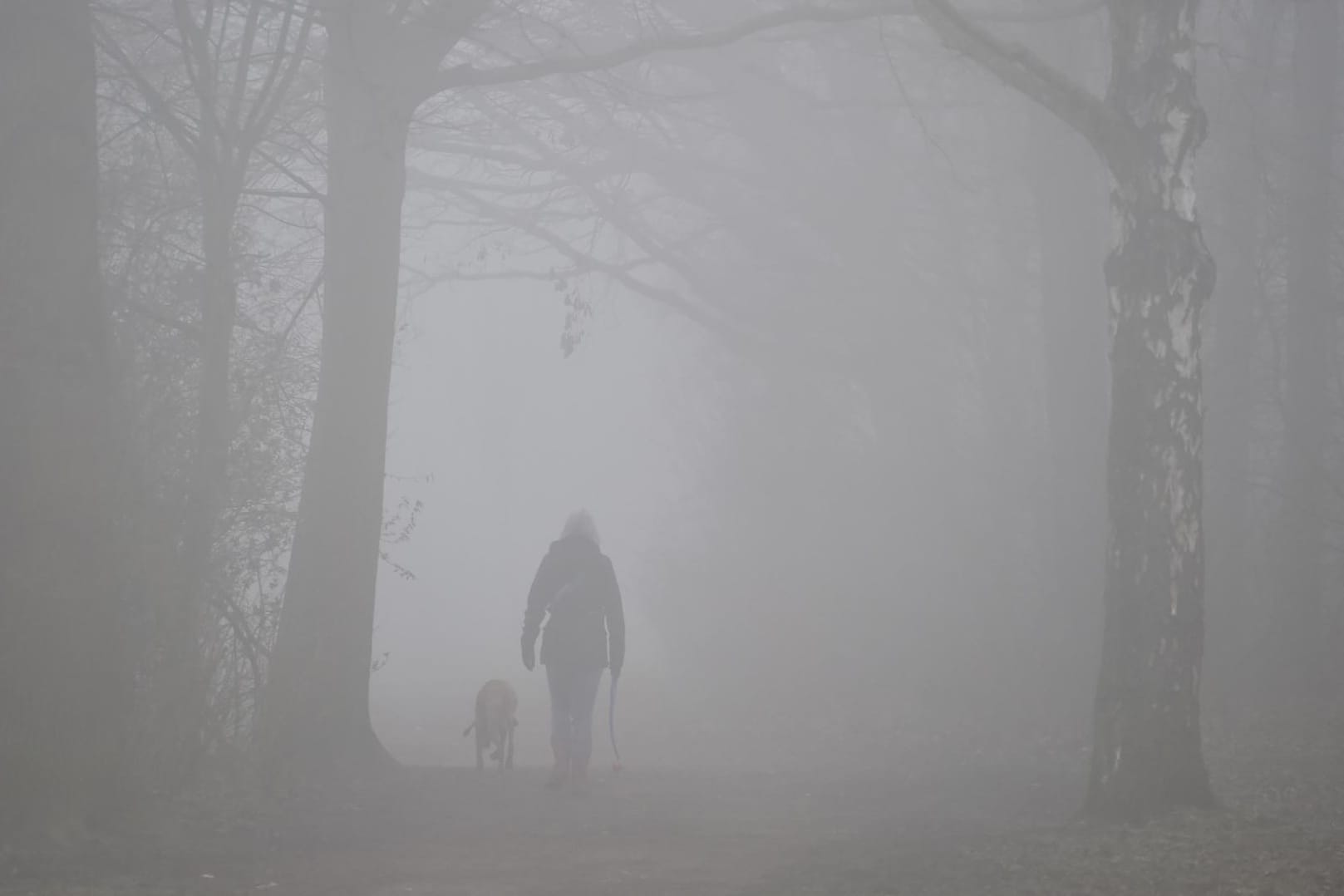 Spaziergang im Nebel: Die graue Zeit der Wintermonate schlägt vielen Menschen aufs Gemüt.